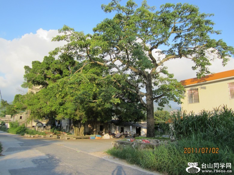 地王广场 203_conew1.jpg