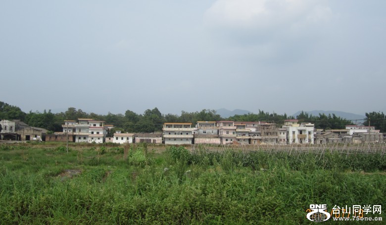 ʮ 112_conew1.jpg