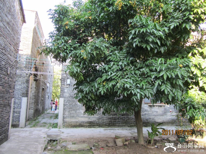 地王广场 139_conew1.jpg
