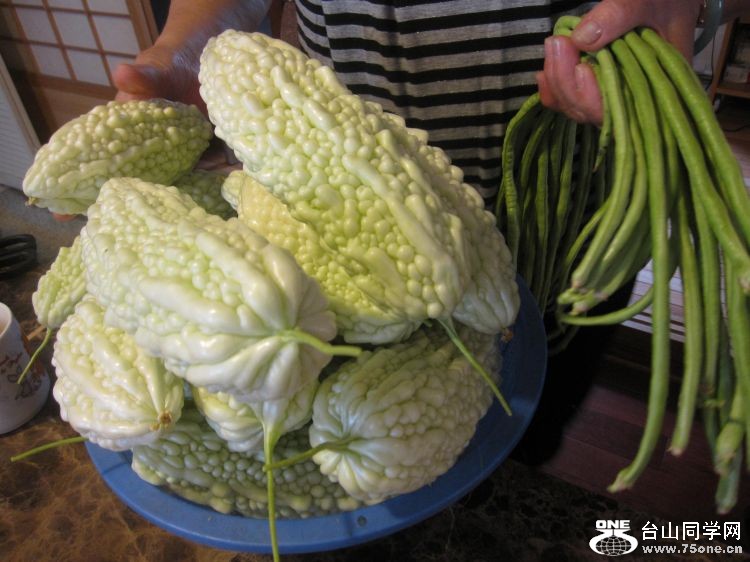 2010823232947.jpg