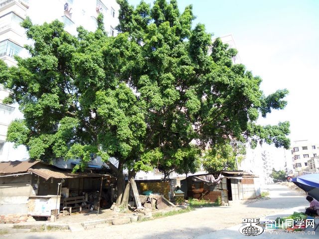 DSCN0297.JPG