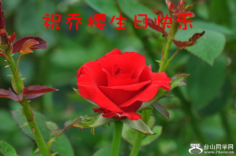 DSC_0189_.jpg