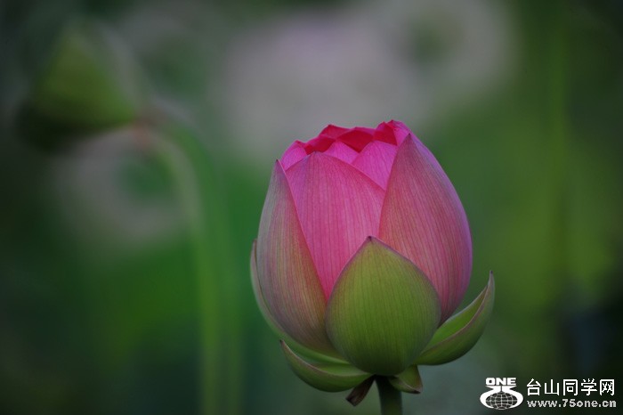 DSC_0613.jpg