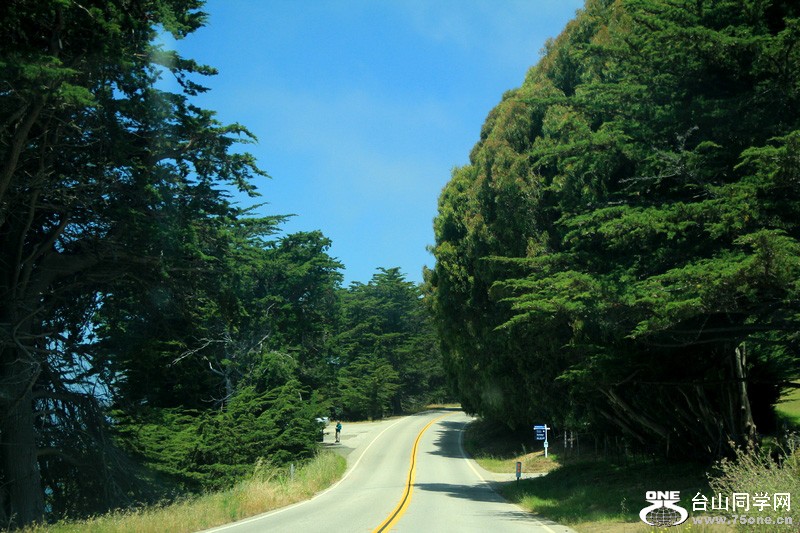 Picture 143.jpg