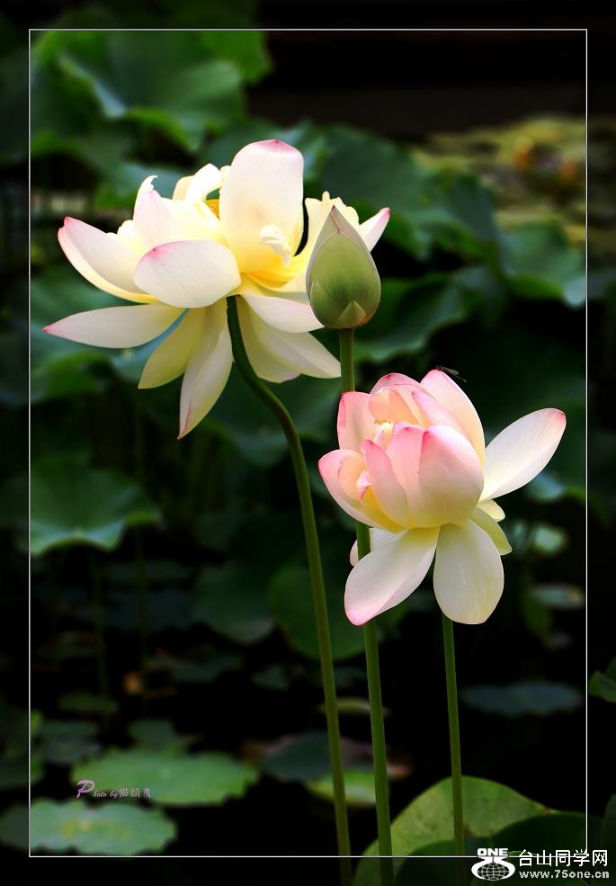}u -IMG_4564cc.jpg
