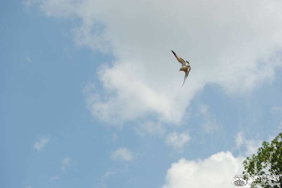 DSC_1034.JPG