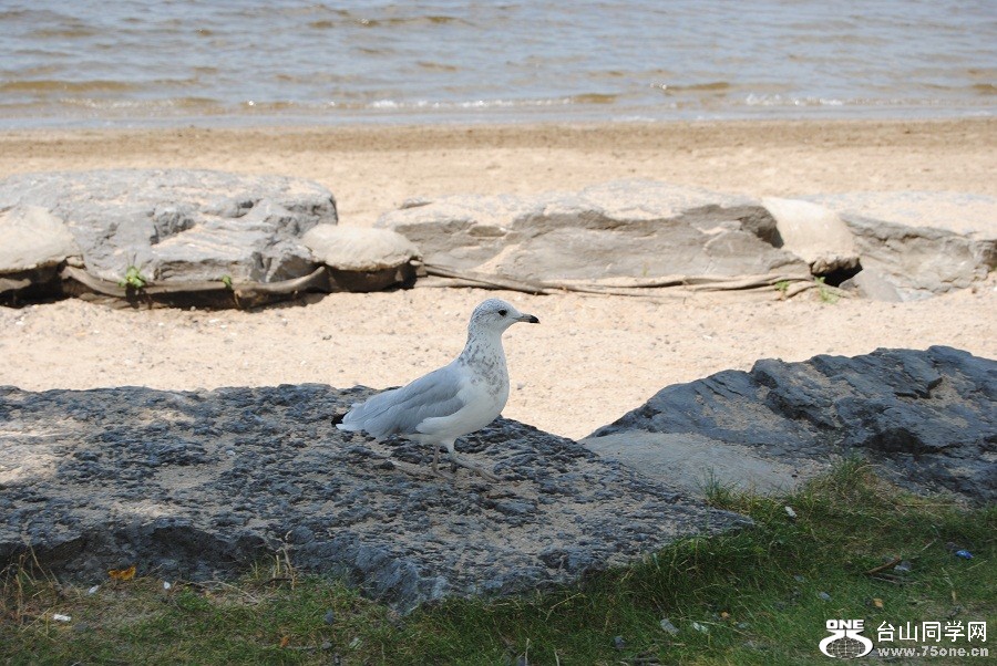 DSC_1078.JPG