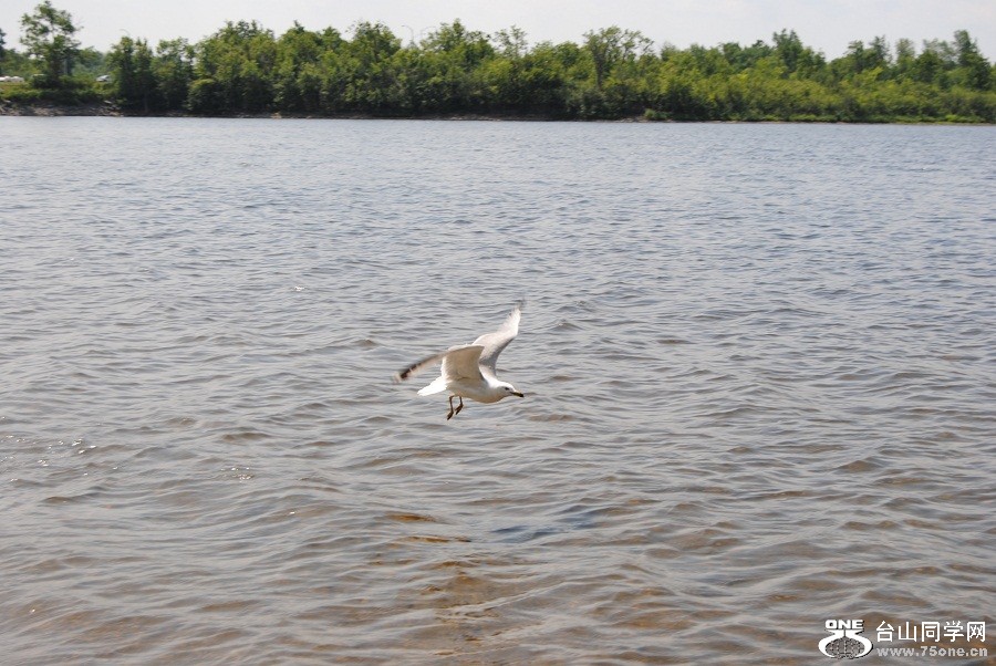DSC_1068.JPG