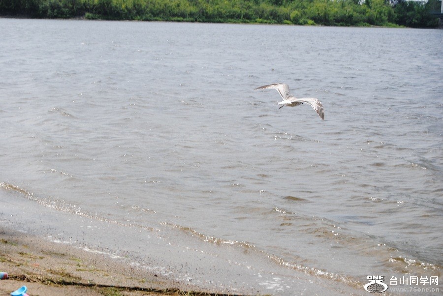 DSC_1029.JPG