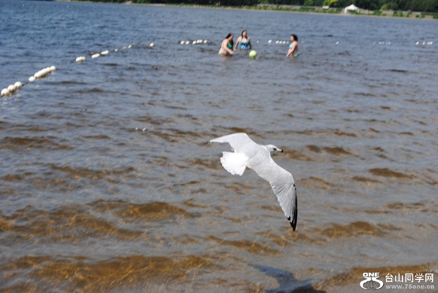 DSC_1065.JPG