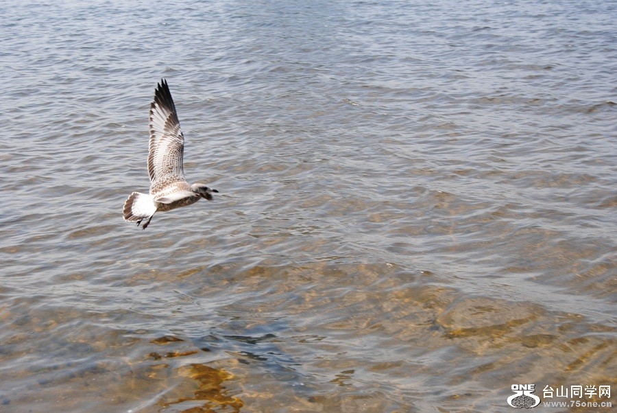 DSC_1066.JPG