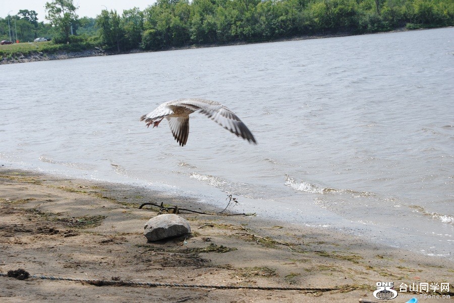 DSC_1028.JPG
