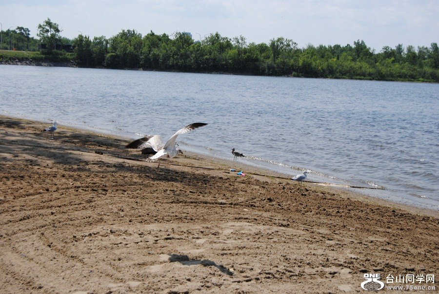 DSC_1064.JPG
