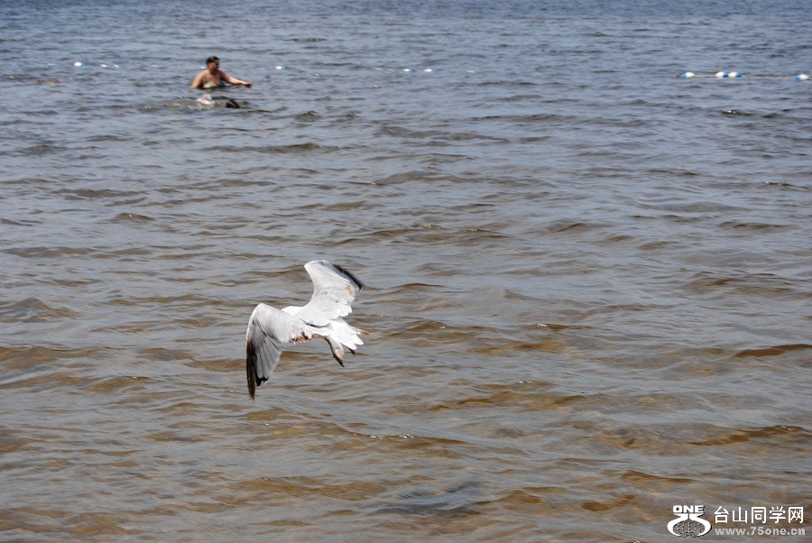 DSC_1041.JPG
