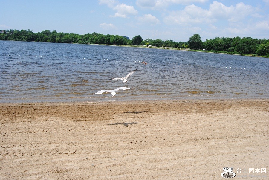 DSC_1054.JPG