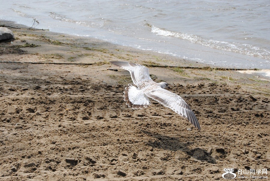 DSC_1027.JPG