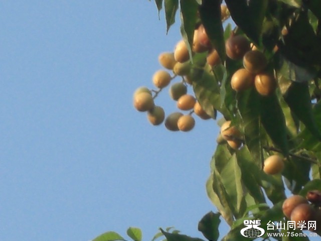 CIMG6331.JPG