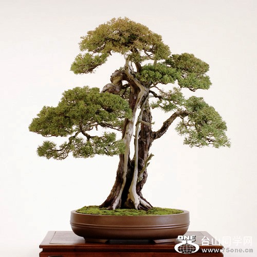 20100601101126.jpg