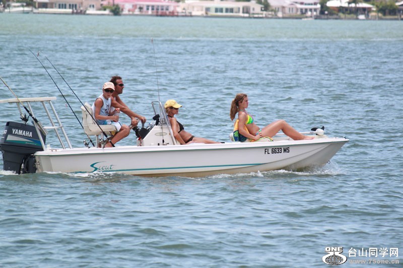 47_31981_f2eed7e3f4b7068.jpg