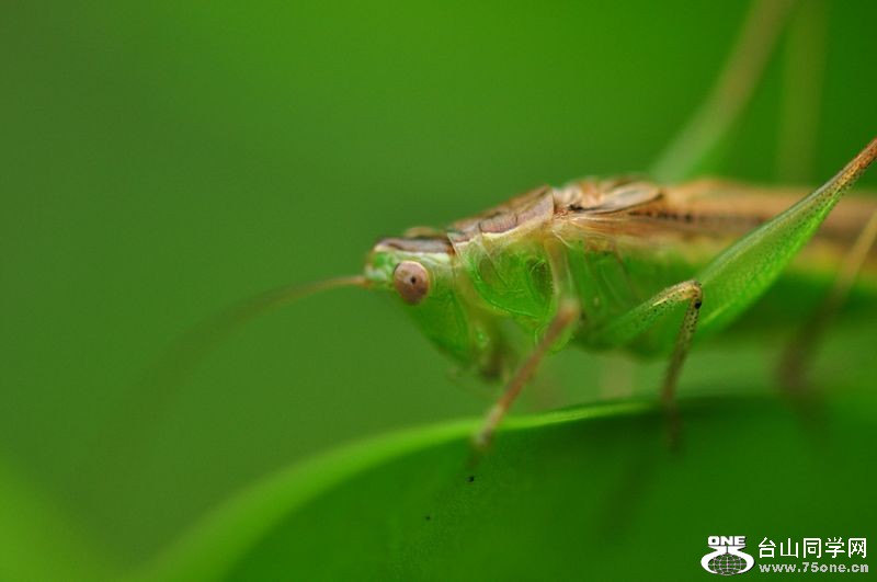 DSC_0124.JPG
