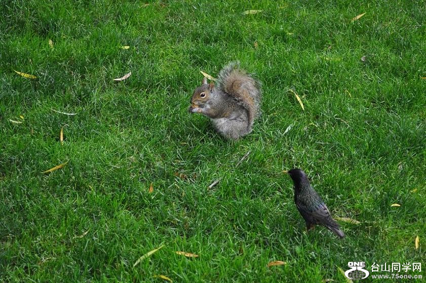 DSC_0645.JPG