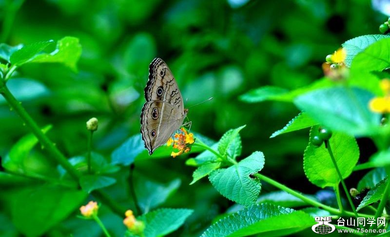 DSC_0344.JPG