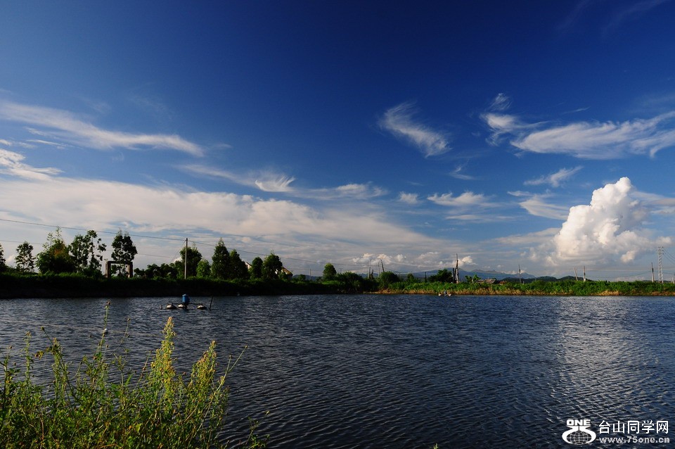 DSC_4482aa.jpg