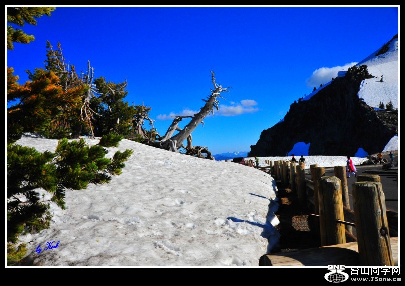 DSC_6570_conew1.jpg