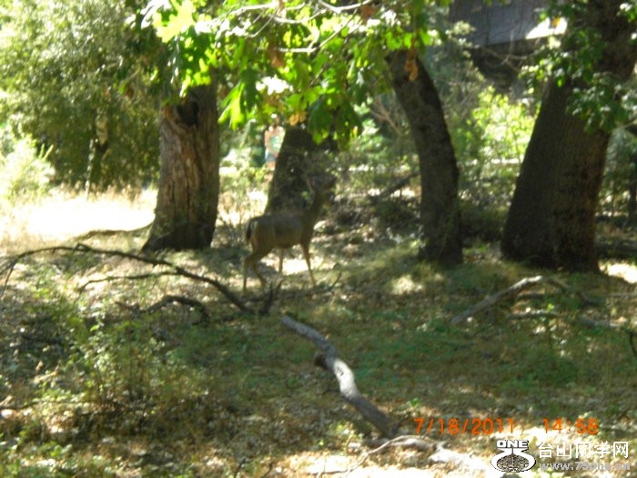 2011_07210122.JPG