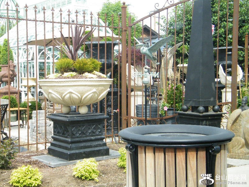 DSCF0533.JPG