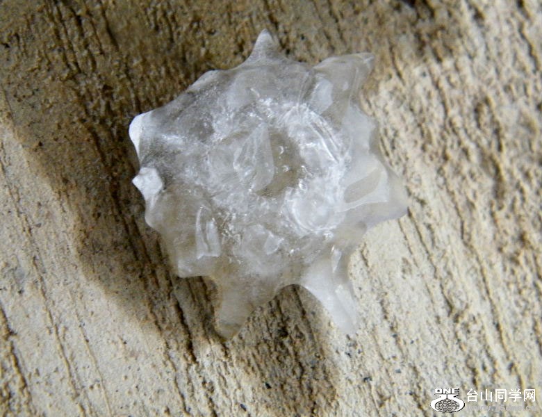 DSCF1890=0.jpg