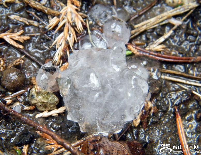DSCF1898=0.jpg