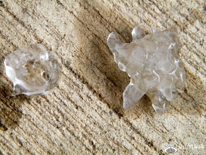 DSCF1895=0.jpg