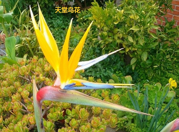 DSC07116d.jpg