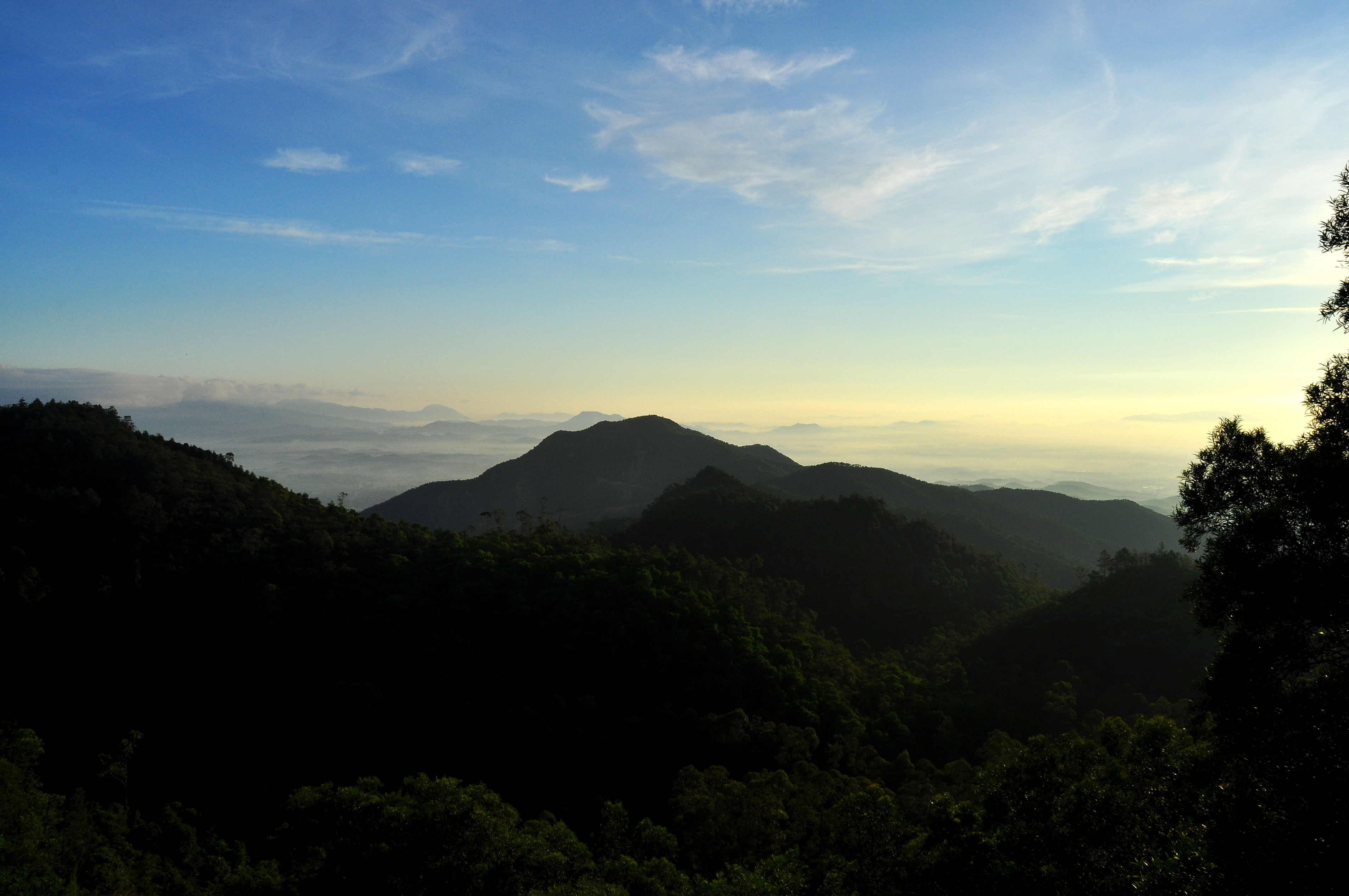 DSC_0284.JPG