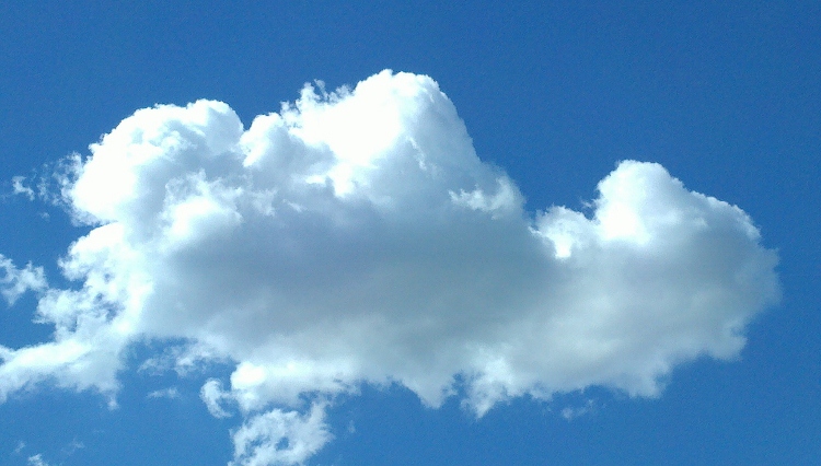 2011-08-23_11-56-12_874 (750x426).jpg