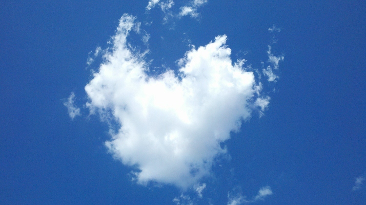 2011-08-23_11-57-33_881 (750x421).jpg