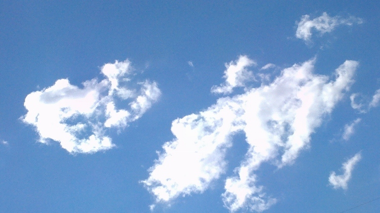 2011-08-22_15-13-58_55 (750x421).jpg
