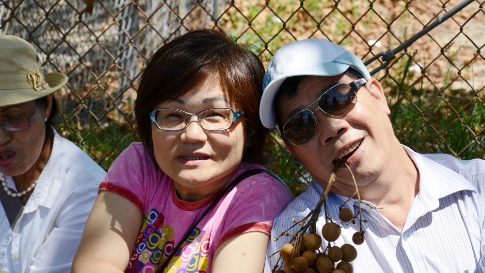 DSC_2416 (1000x562).jpg