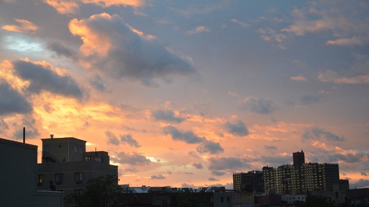 006 (750x422).jpg