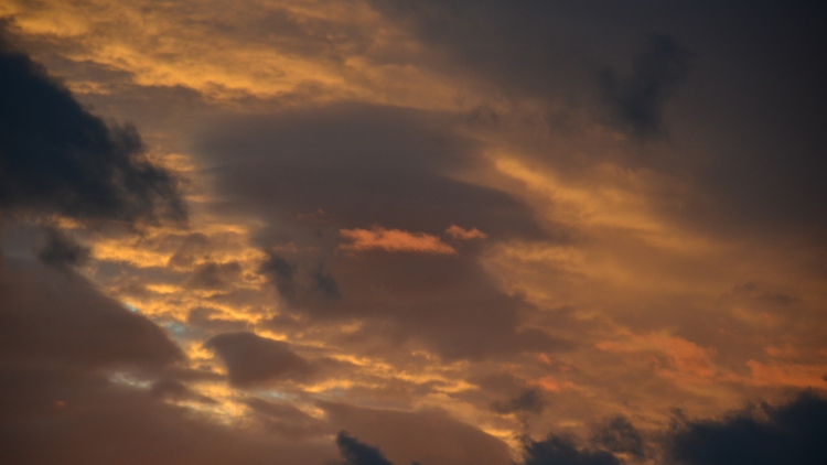 016 (750x422).jpg
