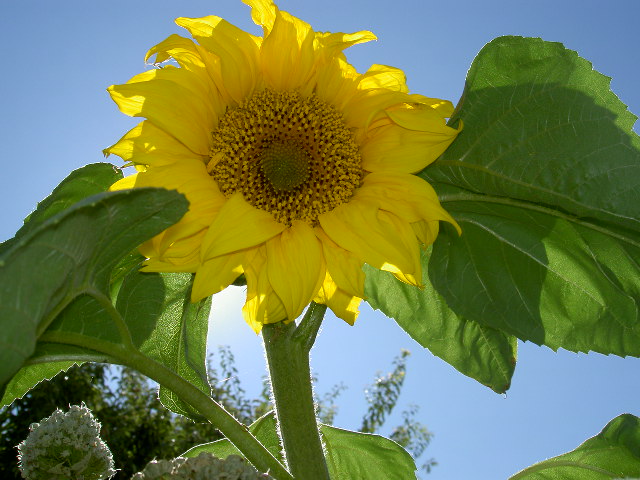 New Picture 1 890.jpg