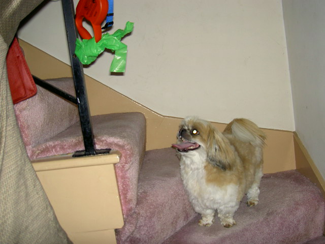 New Picture 1 757.jpg
