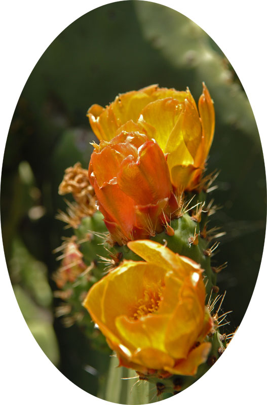 d30-1.jpg
