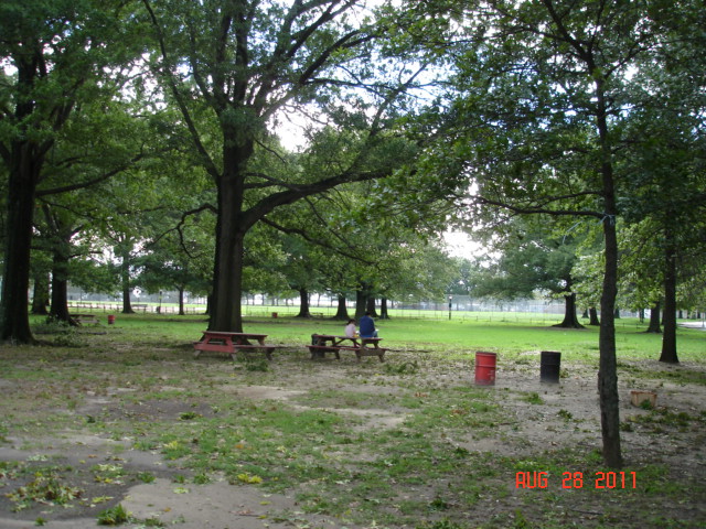 11 055.JPG