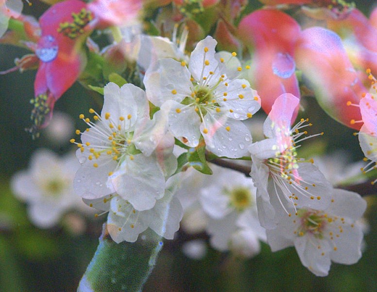 ȥӰ-5.jpg