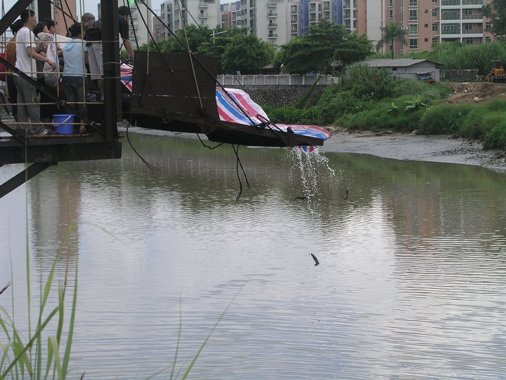 P1010138.JPG