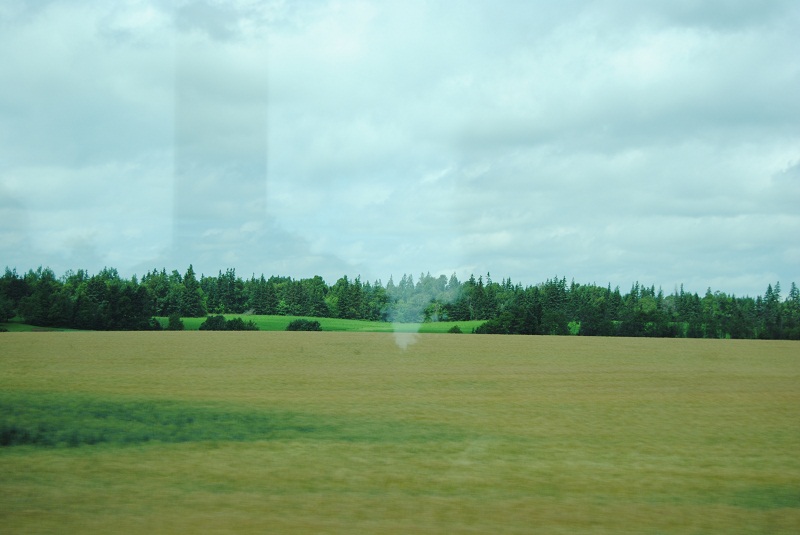 DSC_2066.JPG