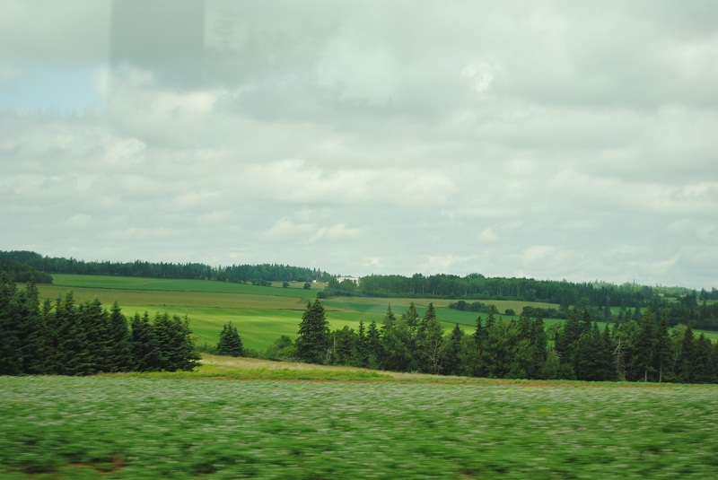 DSC_2046.JPG
