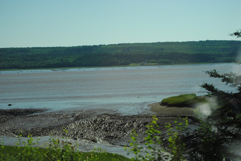 DSC_1663.JPG